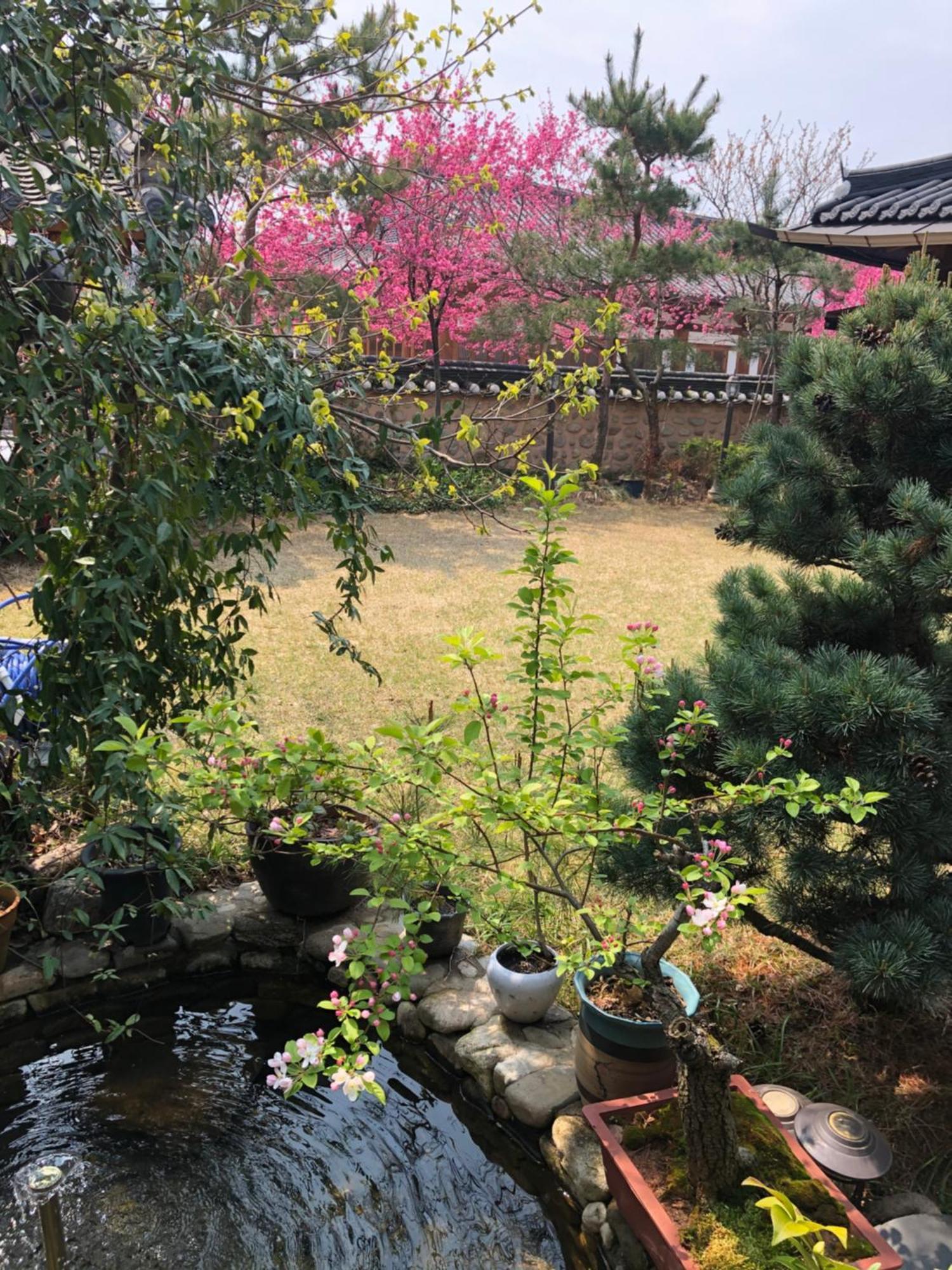 Buyongheon Hotel Jeonju Buitenkant foto